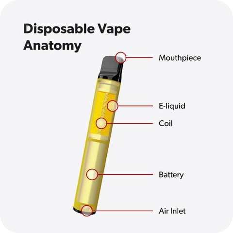 The anatomy of a disposable vape